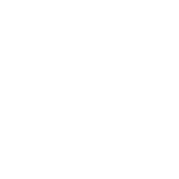 Voice- und Chatbot Technologie icon